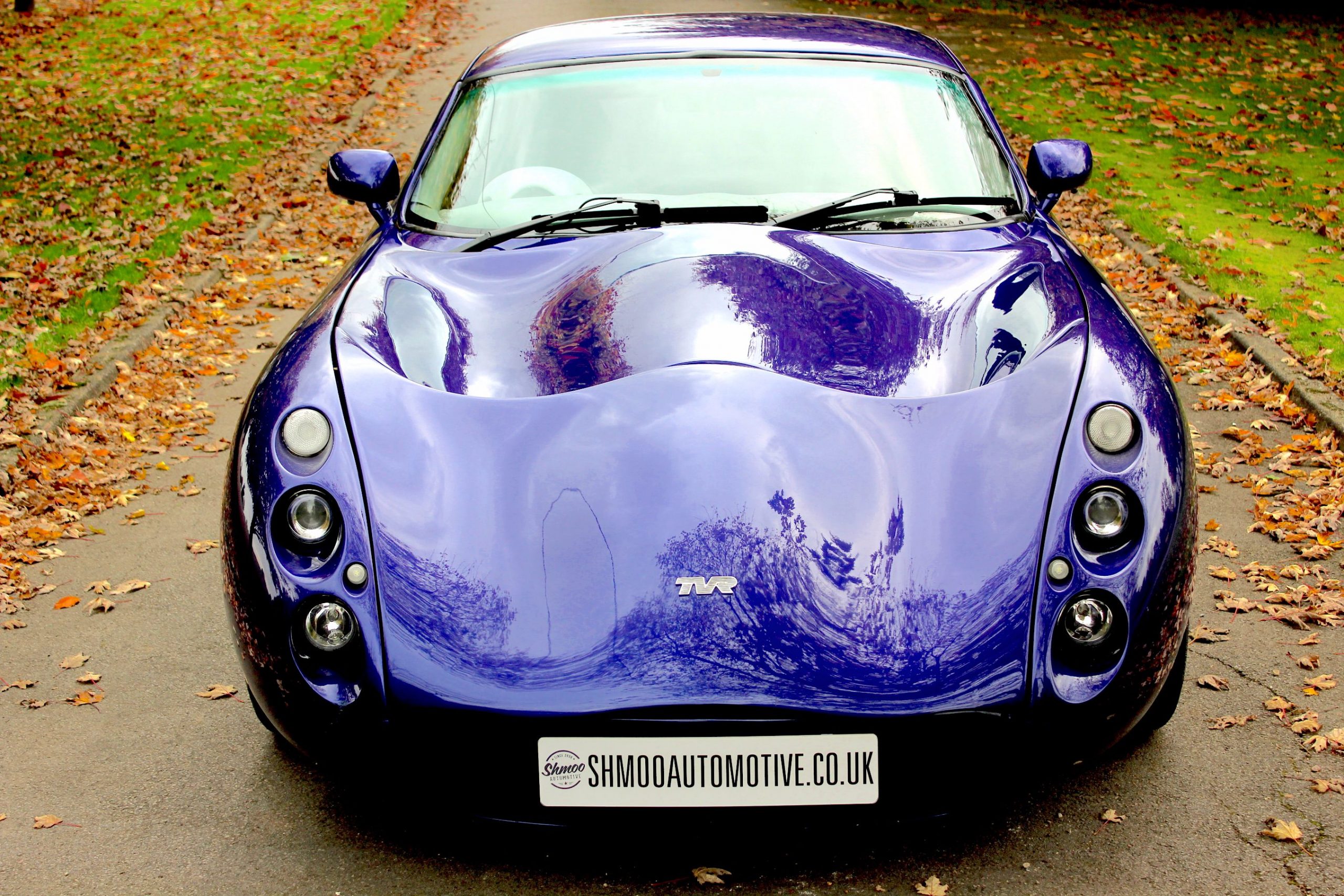 TVR Tuscan MK1 - 4.3 Powers Performance