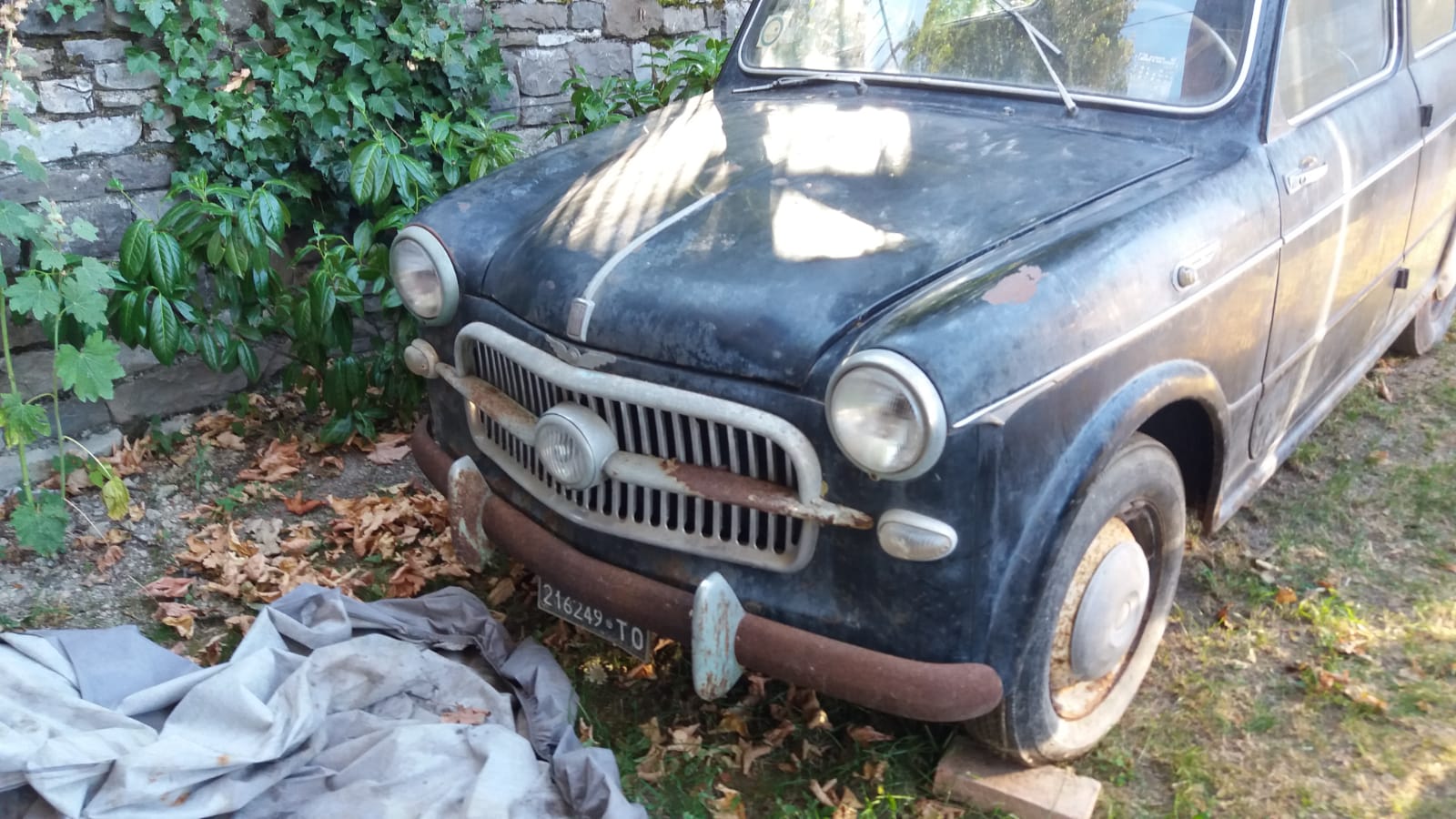 Fiat 1100 1957 - (Mille Miglia car maybe?)