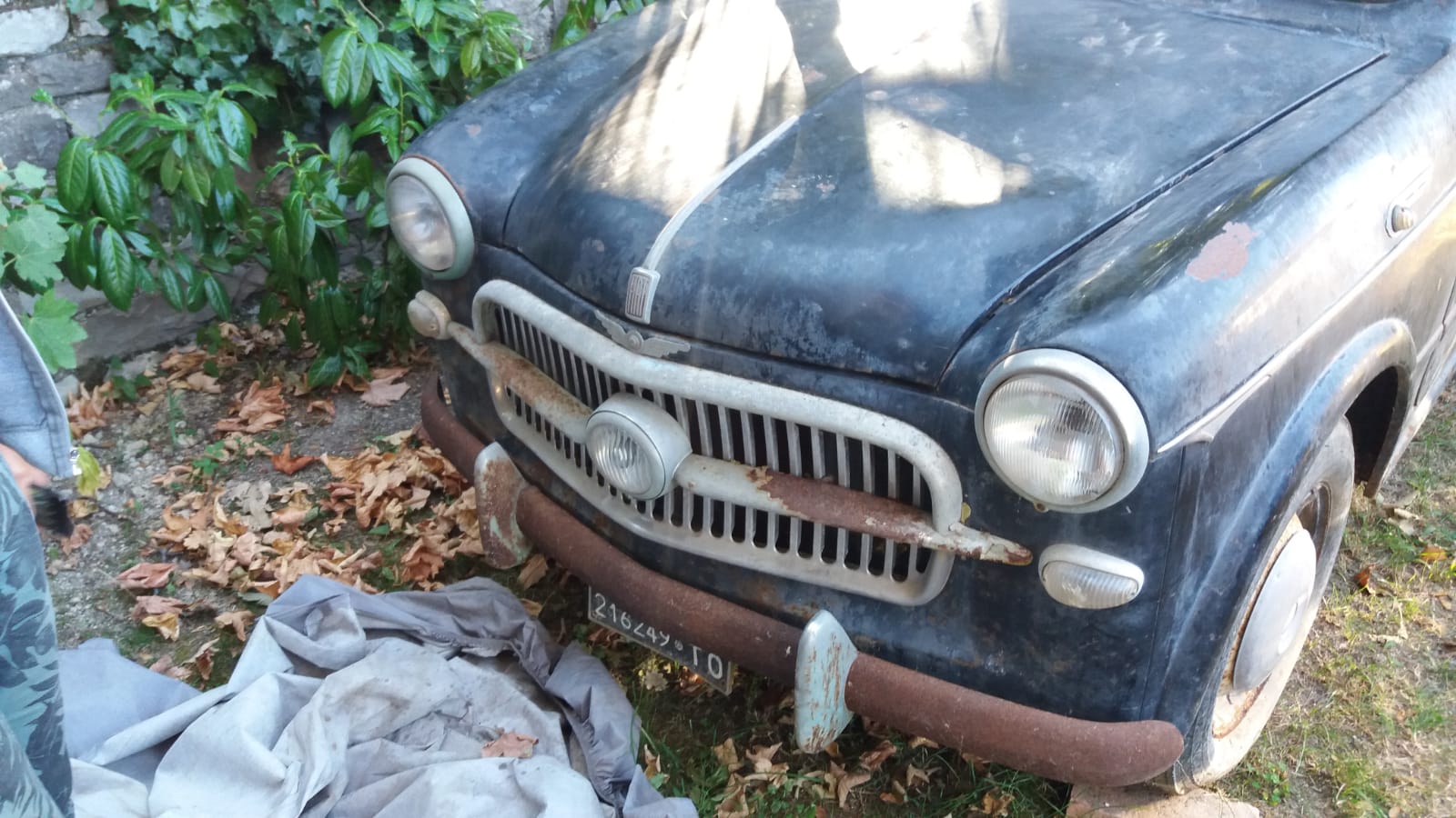 Fiat 1100 1957 - (Mille Miglia car maybe?)